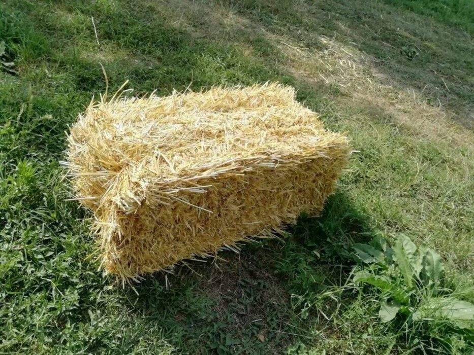 Солома ячменка , доставка