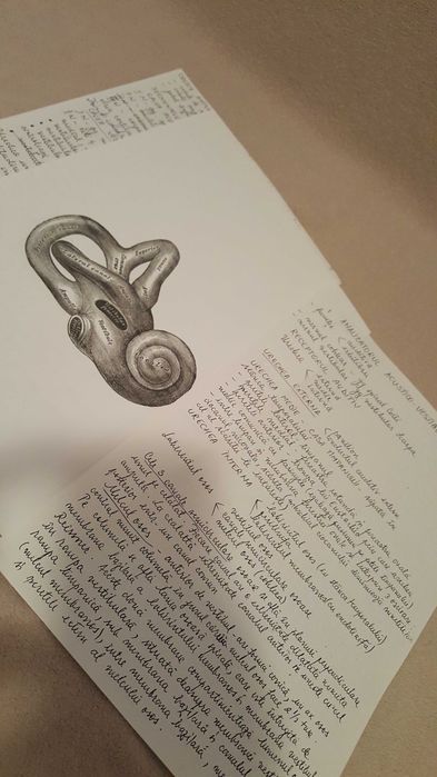 Meditatii Biologie BAC si Admitere la medicina