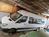 Mercedes Benz 516 20 loc-an 2013