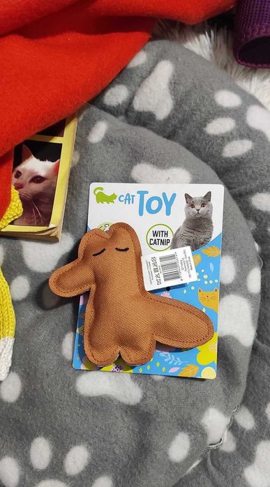 Pat pisica + accesorii