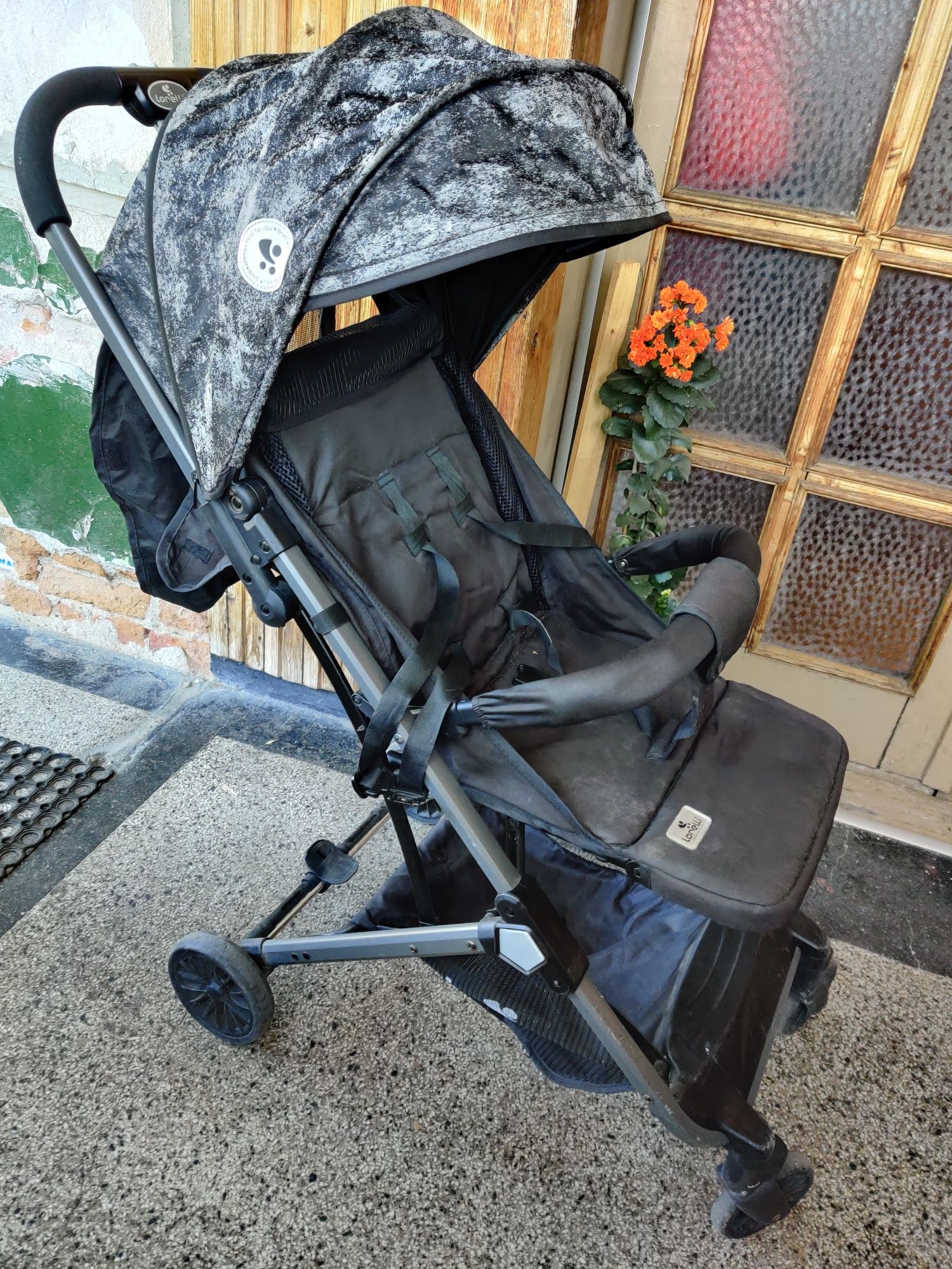Lorelli Детска лятна количка с покривало Fiona, Carbon Design