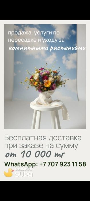 Комнатные растения