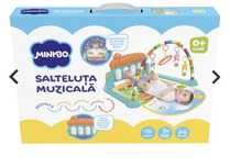 Salteluta muzicala