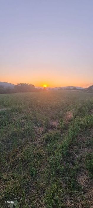 Teren extravilan 6883mp Odobesti