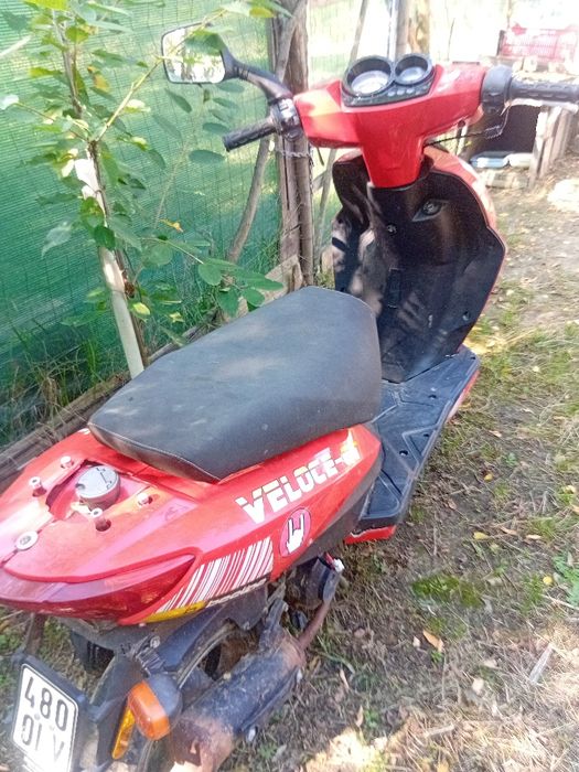Scuter BEELINI.    .