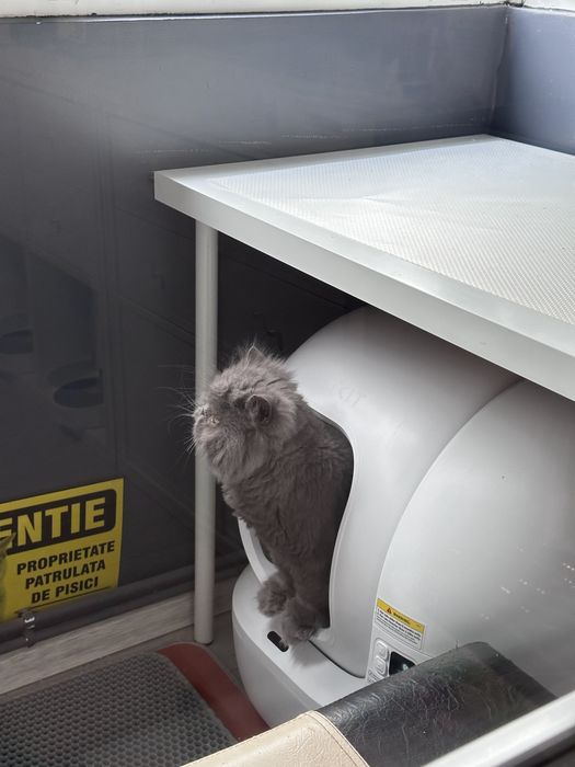 Litiera cu camera video Petkit Purobot max