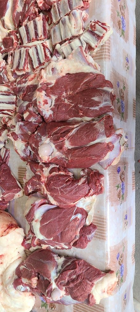 Qassob serviz. Qo'y va qassob xizmatlari. Овцы и мясная услуга.