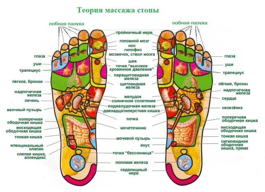 Oyoq massaj aparati / многофункциональный массажер для ног