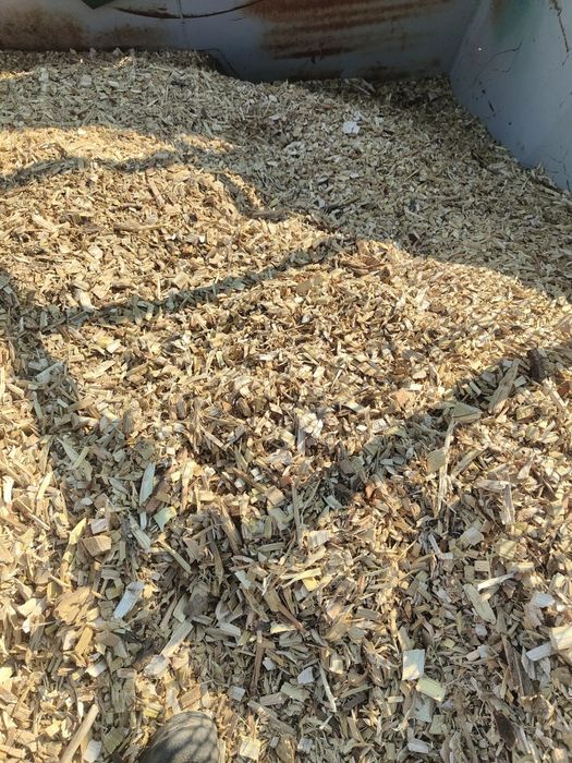 Tocatura pentru centrale  uscata fag și salcam