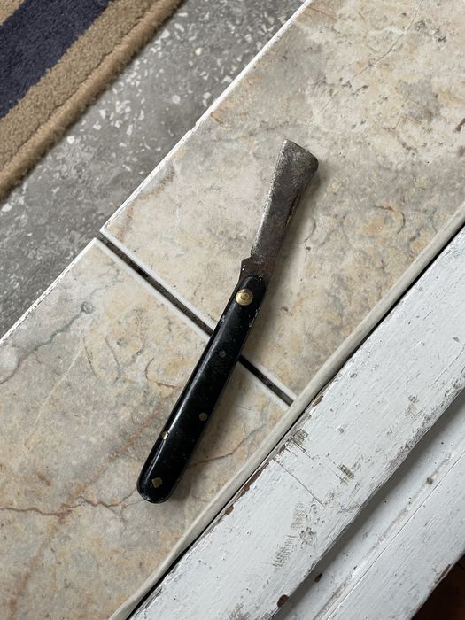 30 roni briceag altoit pomi