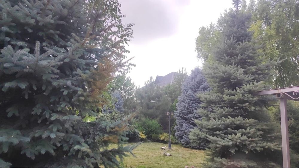 Сдам Коттедж в аренду