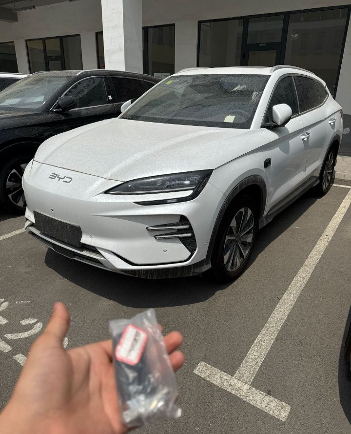 BYD Chempion 25/26 smart