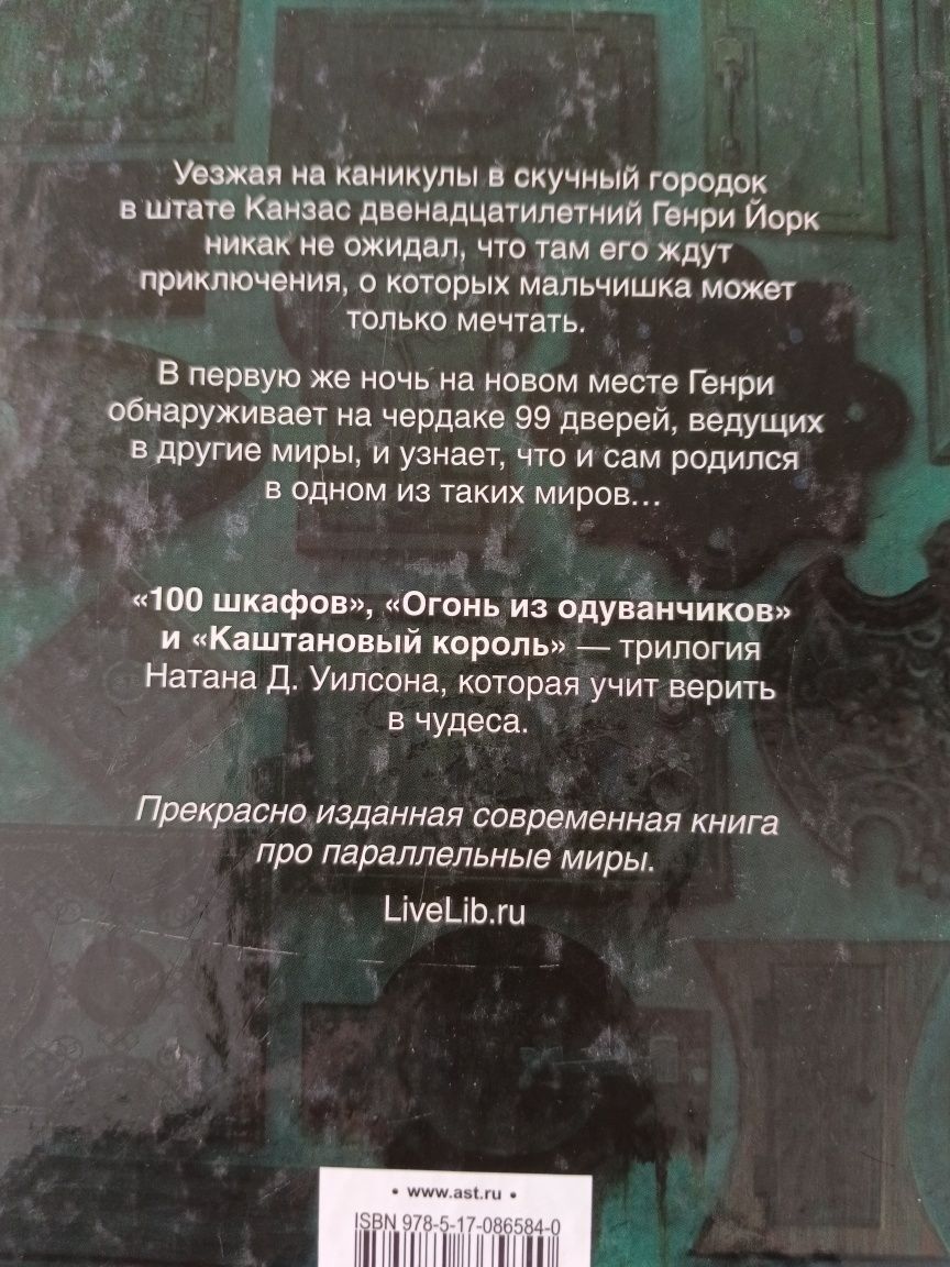 "100 шкафов" 1 часть. Натан Д. Уилсон