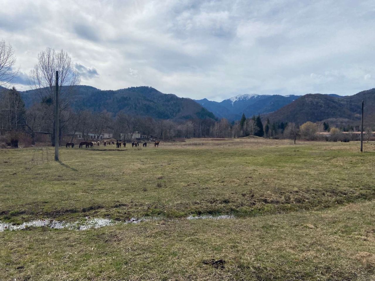 Продава се Парцел в Долна баня - 2100 кв.м за 22 €/кв.м - Снимка #5