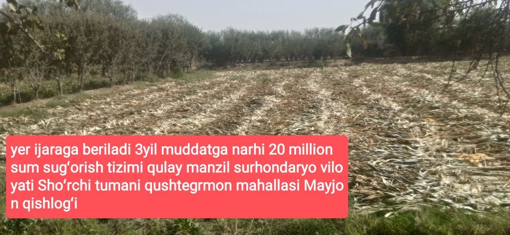 Yer arendaga beriladi 3yil muddatga narxi 20 milion sum