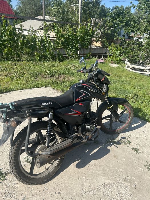 Альфа шарк 125 кубов