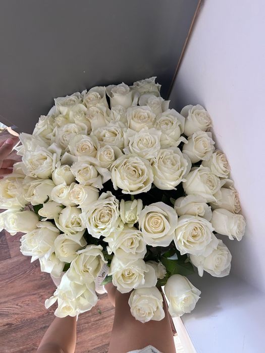 голландская роза 51 шт