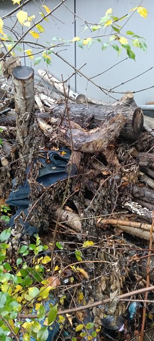 Vând urgent. Lemne .