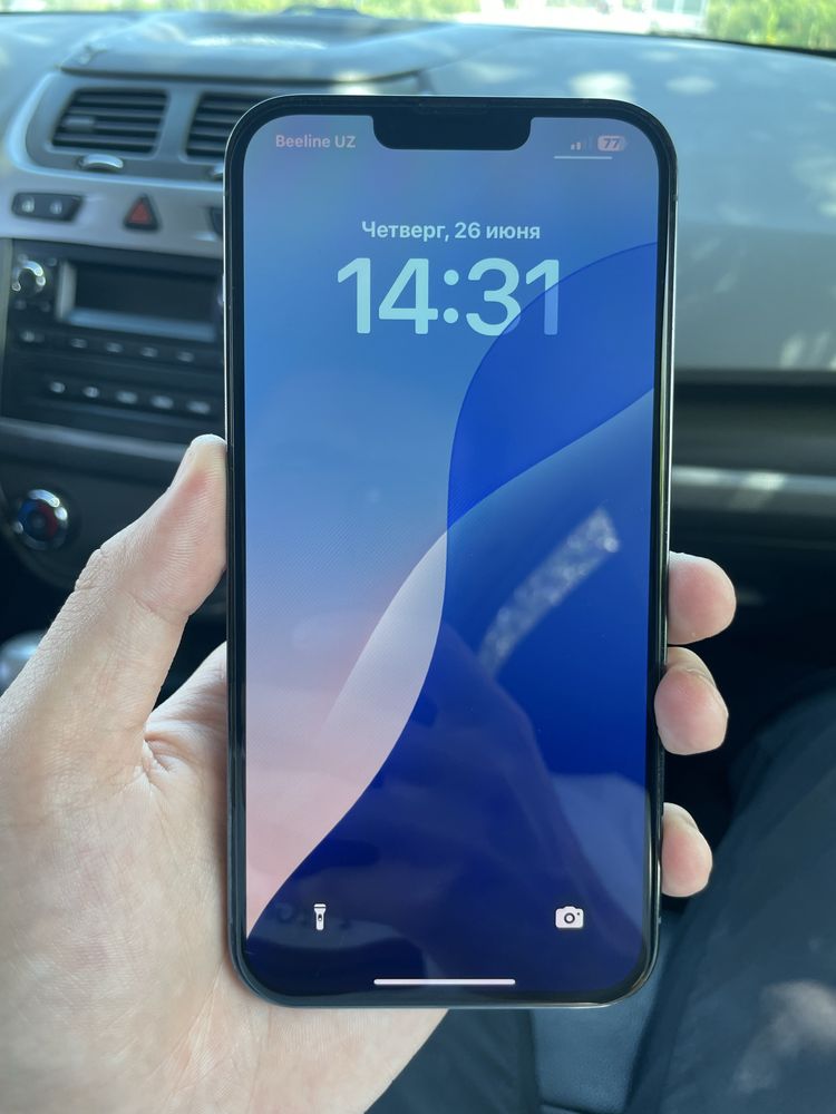 iPhone 13 Pro Max