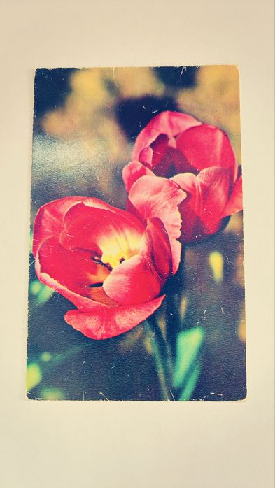 Советские открытки