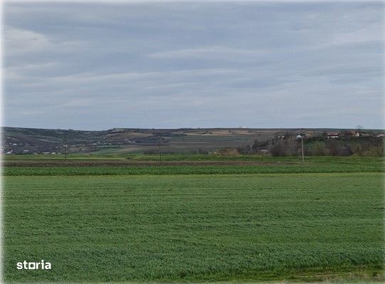 Teren Andrieseni, cota parte 1/20, ID: R2603082