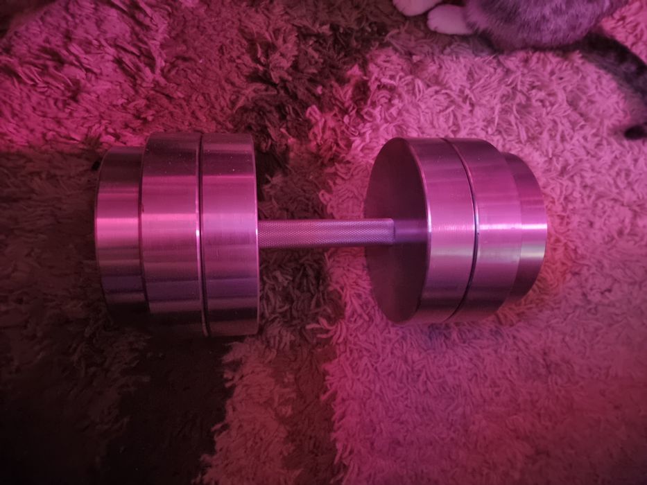 Гантель 40кг оцинкованная