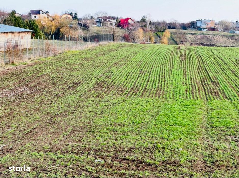 Teren Intravilan | Balotesti | Deschidere 40 M La Lac | 9.919 Mp | Lah