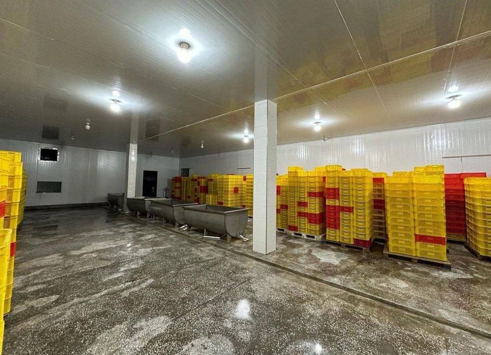 Продаётся 5 000 м² промхолодильник.