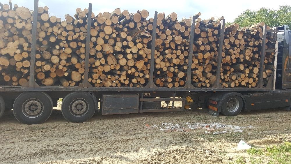 Vând lemn foc 500 LEI mc