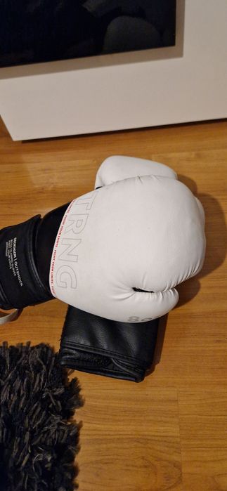 Manusi de box in stare perfecta