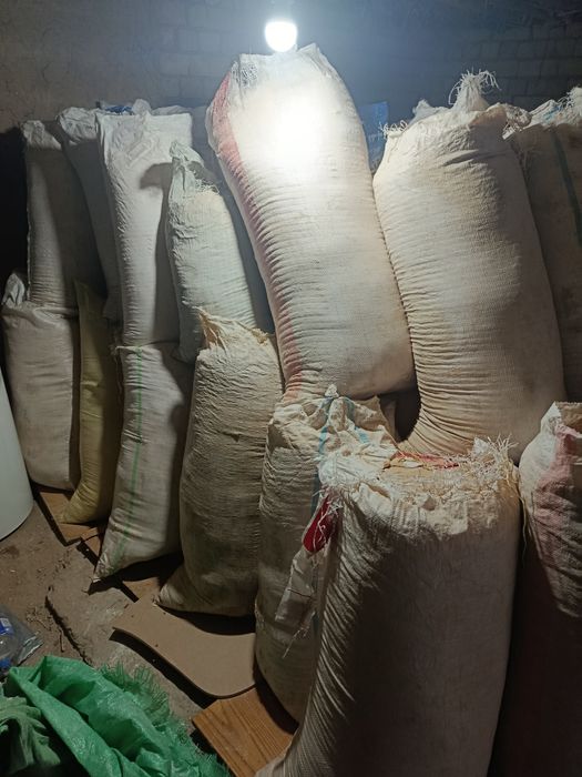 Apilka mayda sotiladi. Qoplangan