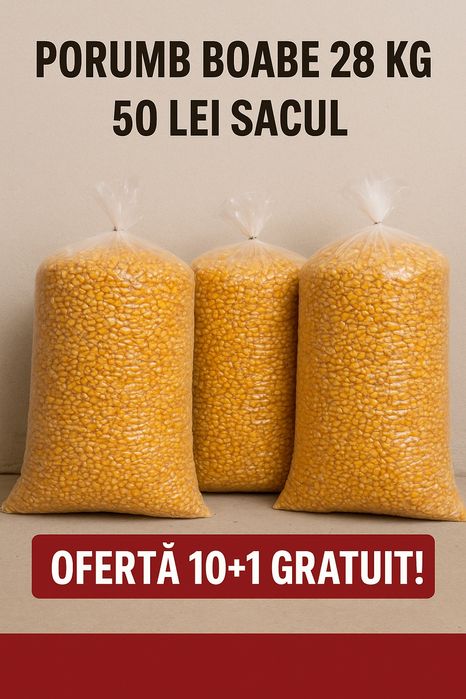 Porumb boabe 28 kg – 50 lei sacul | Ofertă 10+1 gratis
