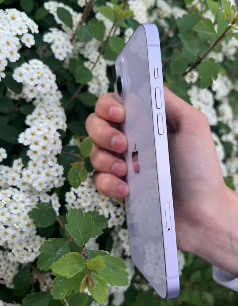 iPhone 14 plus Violet