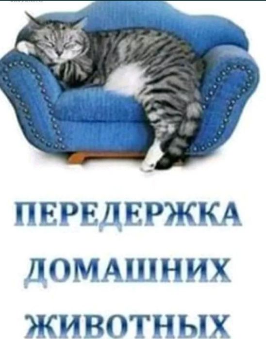 Зоо-гостиница для домашних питомцев!