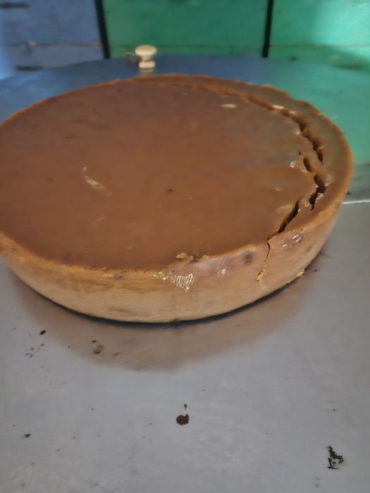 Ceara albine ecologica