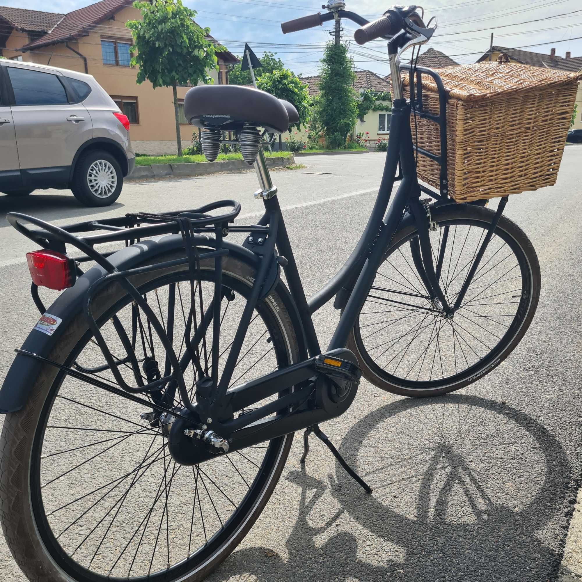 Bicicleta Retro Cargo