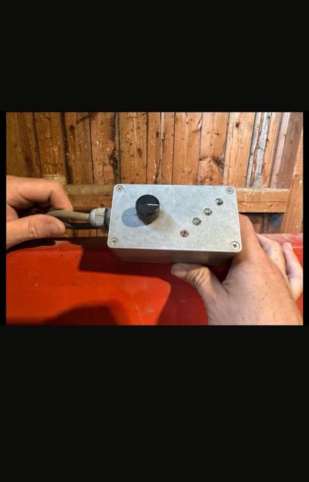 Semanatoare paioase stegsted