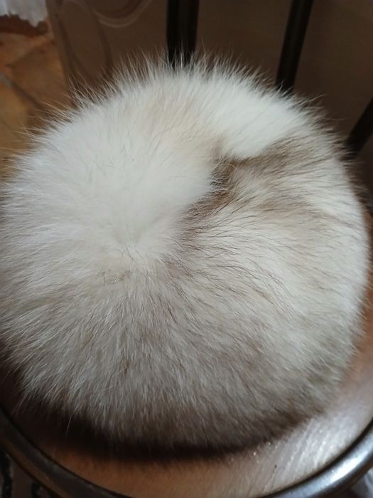 Caciula de blana impecabilă