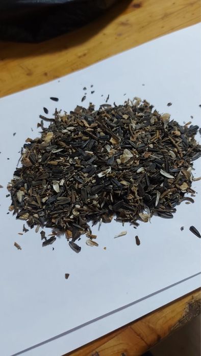 Корм доя животных, гнатила полсолнуха