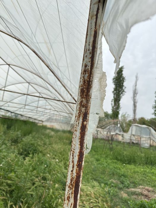 15 сотых парник сотилади. Холати яхши. Сотихи 2 ярим миллиондан