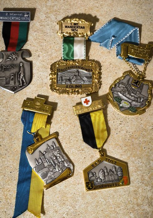 Insigne vintage bavareze/austriece