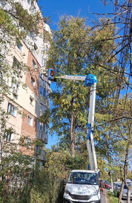 Tăiere/Fasonare/Doborâre Arbori Foarte Periculoși.