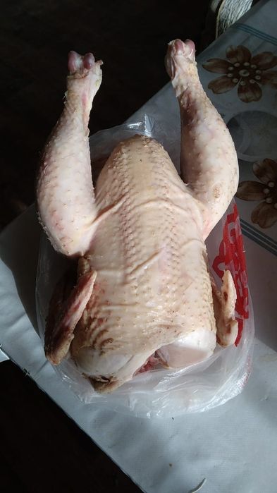 Мясо бройлера домашее