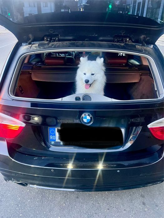 Bmw E91 320D 177cp Manuala/Piele/Navi/Carplay