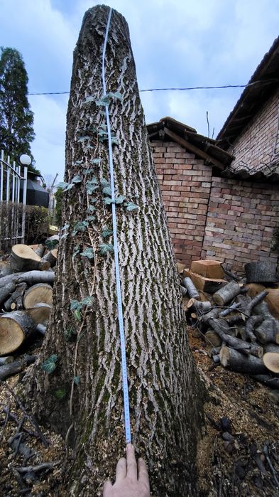 Орех дънер за мебел