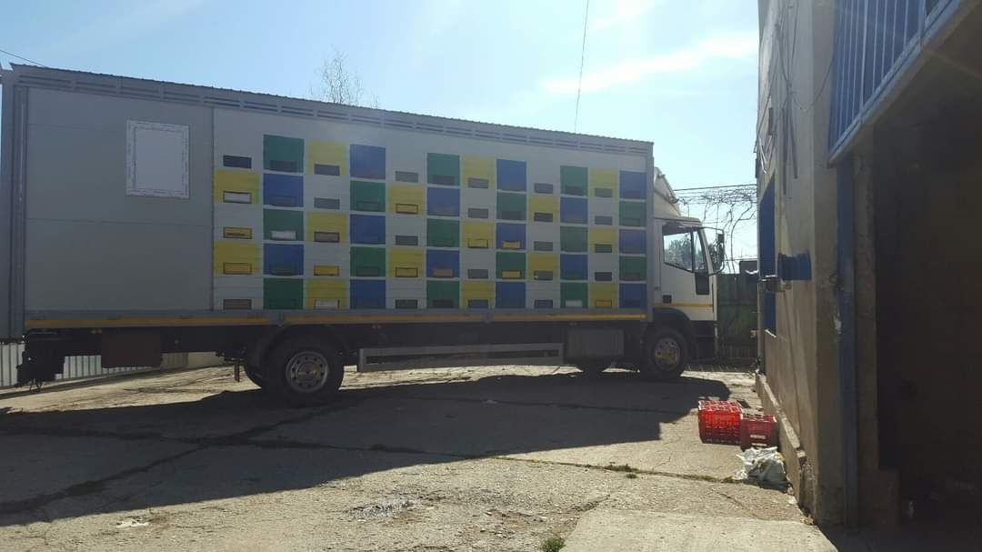 Camion apicol iveco omologat,echipat cu 80 cutii