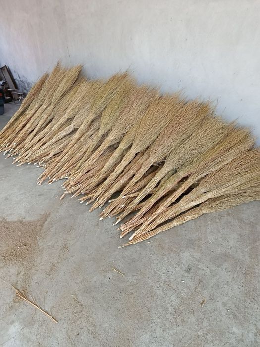 Веник сорго оптим толка!!! Kotta kocha supirgi !!!