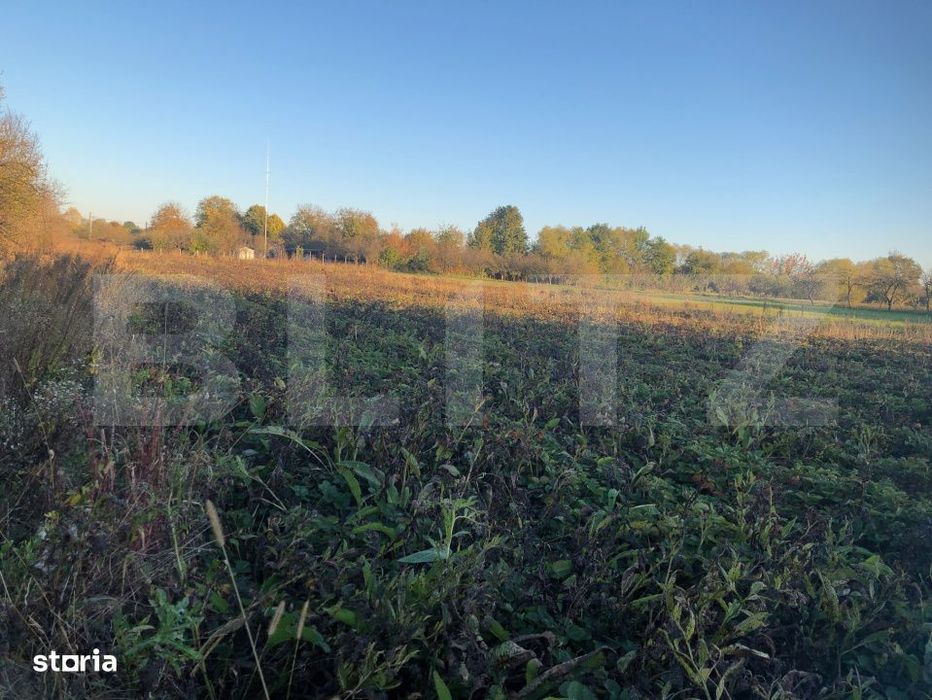 Casa batraneasca, 1500 mp teren, comuna Pomi