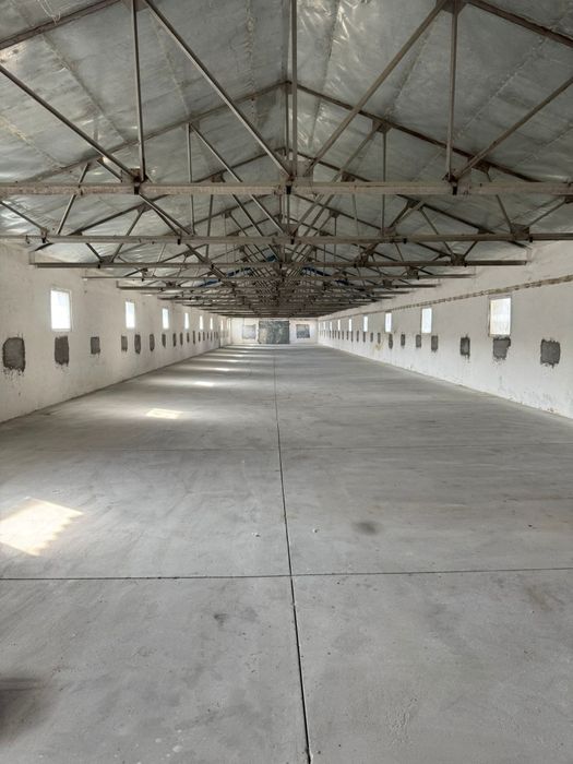 Hala/Hale Industriale de inchiriat Ciorogarla/Ilfov