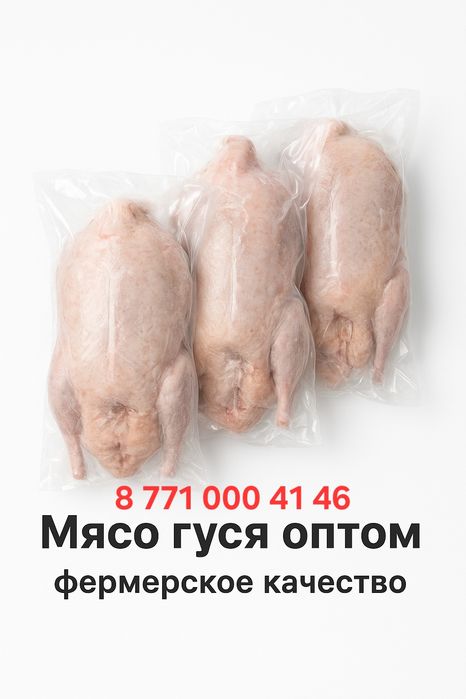 Продам мясо гуся